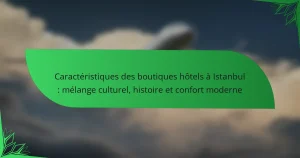 Caractéristiques des boutiques hôtels à Istanbul : mélange culturel, histoire et confort moderne