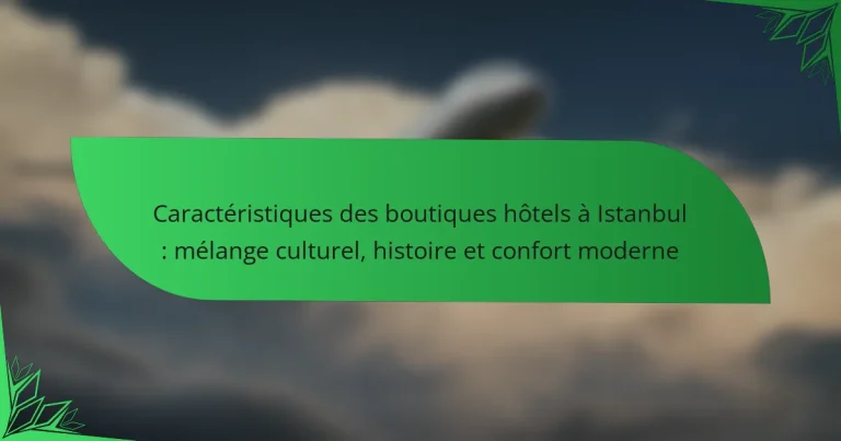 Caractéristiques des boutiques hôtels à Istanbul : mélange culturel, histoire et confort moderne