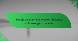 Hôtels de charme à Avignon : histoire, culture et gastronomie