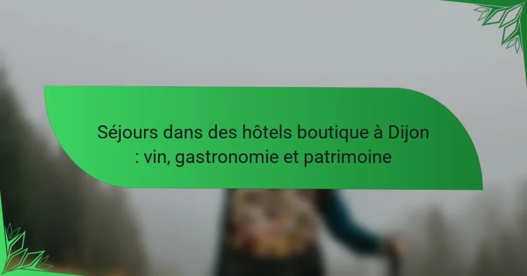Séjours dans des hôtels boutique à Dijon : vin, gastronomie et patrimoine
