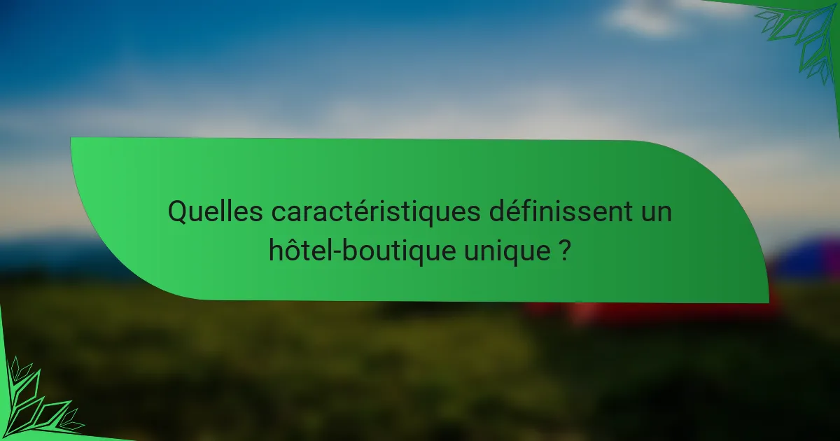 Quelles caractéristiques définissent un hôtel-boutique unique ?