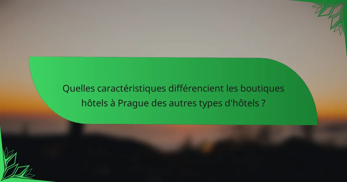 Quelles caractéristiques différencient les boutiques hôtels à Prague des autres types d'hôtels ?