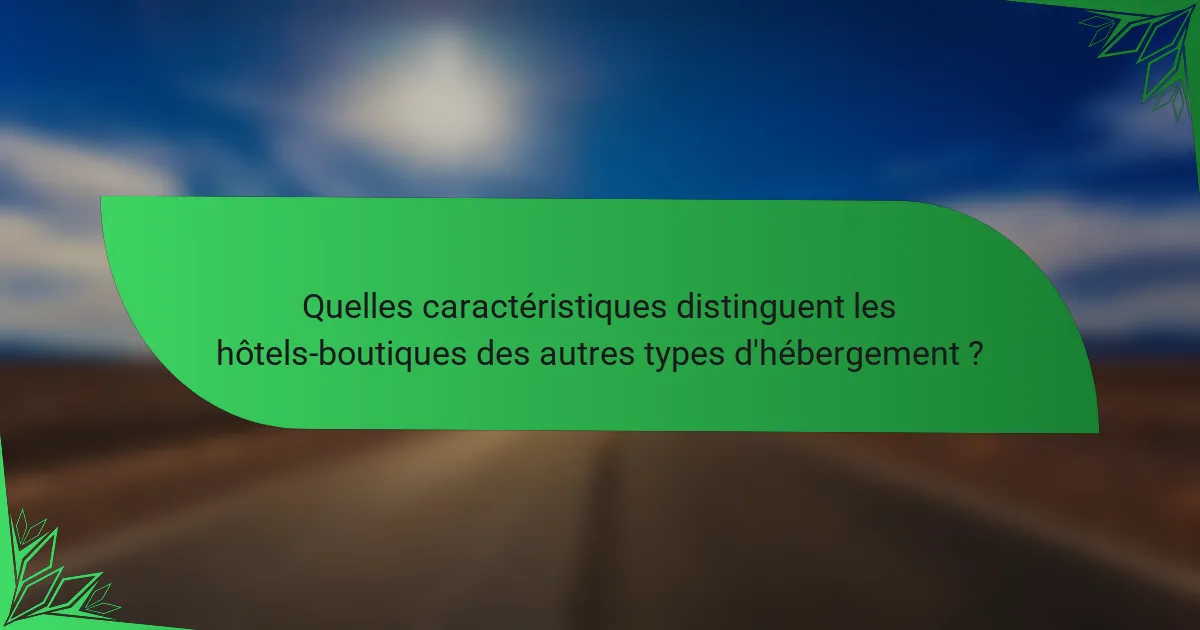 Quelles caractéristiques distinguent les hôtels-boutiques des autres types d'hébergement ?