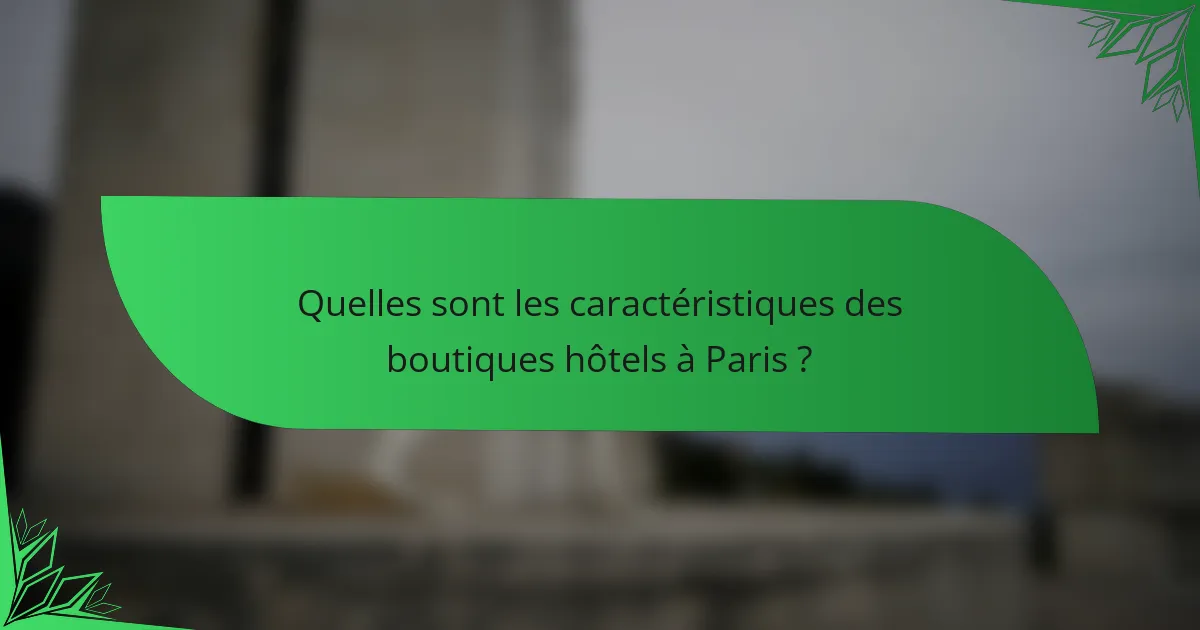 Quelles sont les caractéristiques des boutiques hôtels à Paris ?