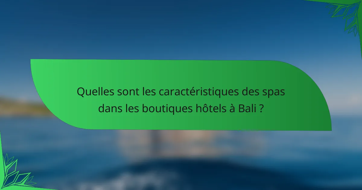 Quelles sont les caractéristiques des spas dans les boutiques hôtels à Bali ?