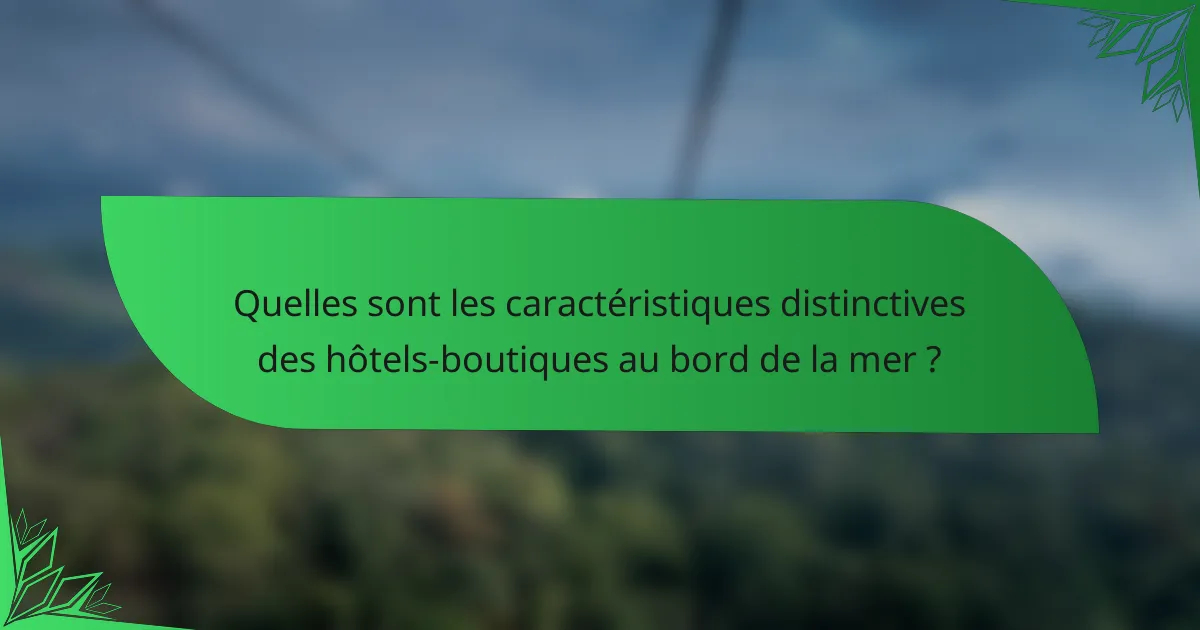 Quelles sont les caractéristiques distinctives des hôtels-boutiques au bord de la mer ?