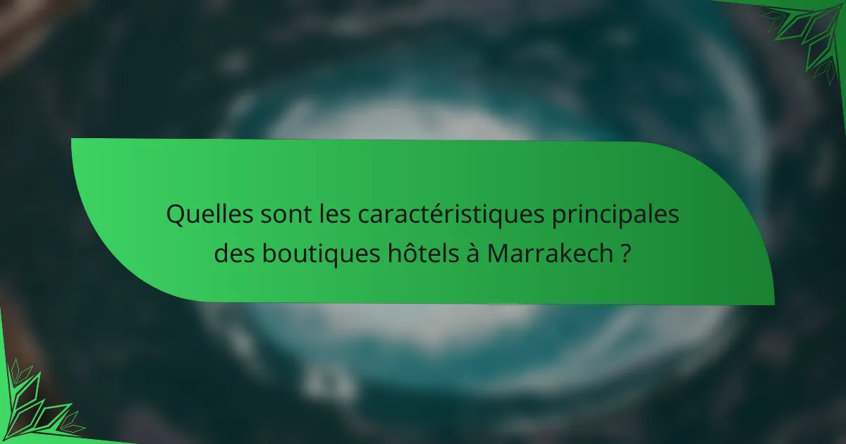 Quelles sont les caractéristiques principales des boutiques hôtels à Marrakech ?