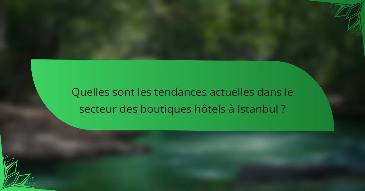 Quelles sont les tendances actuelles dans le secteur des boutiques hôtels à Istanbul ?