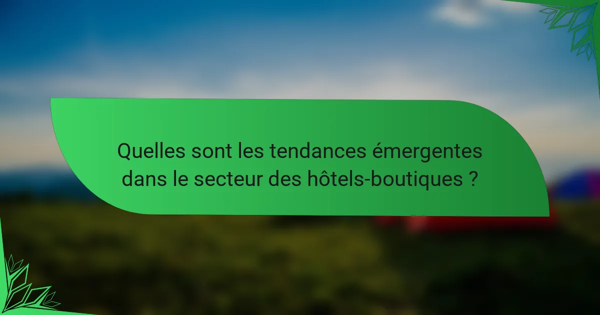 Quelles sont les tendances émergentes dans le secteur des hôtels-boutiques ?
