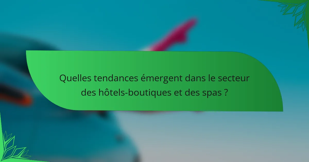 Quelles tendances émergent dans le secteur des hôtels-boutiques et des spas ?