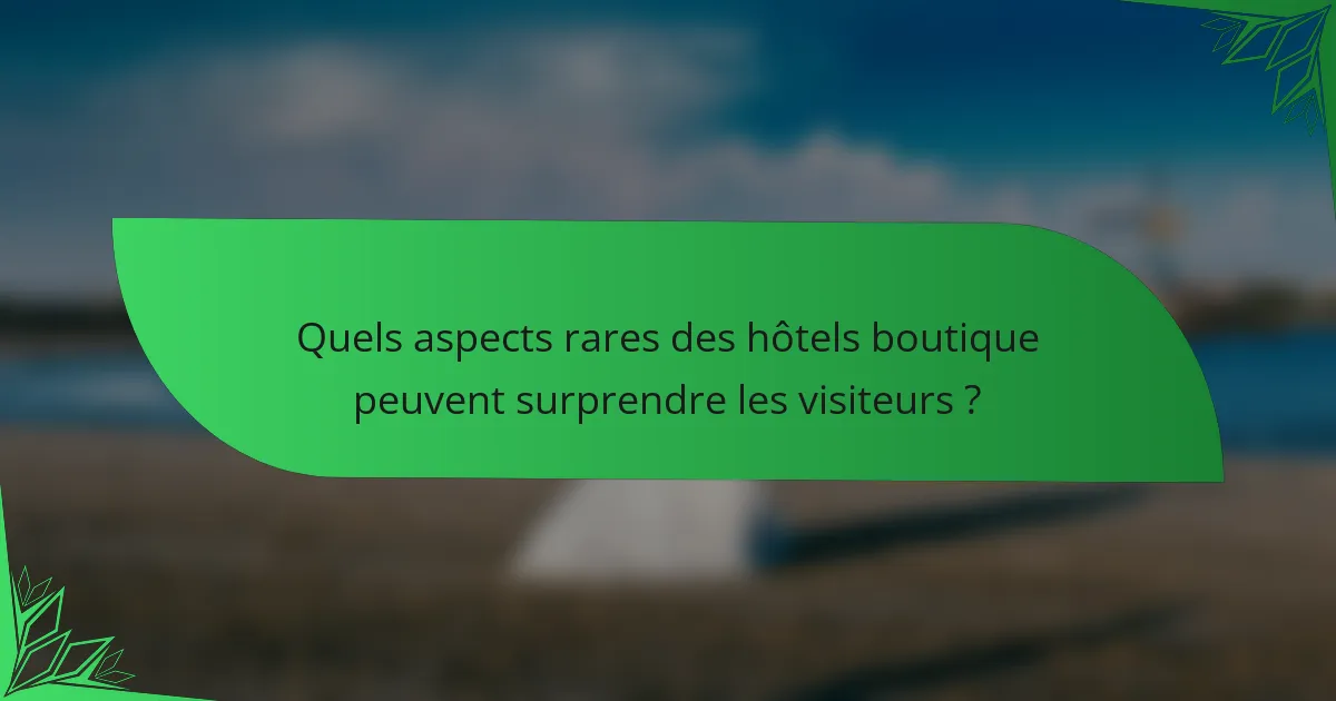 Quels aspects rares des hôtels boutique peuvent surprendre les visiteurs ?