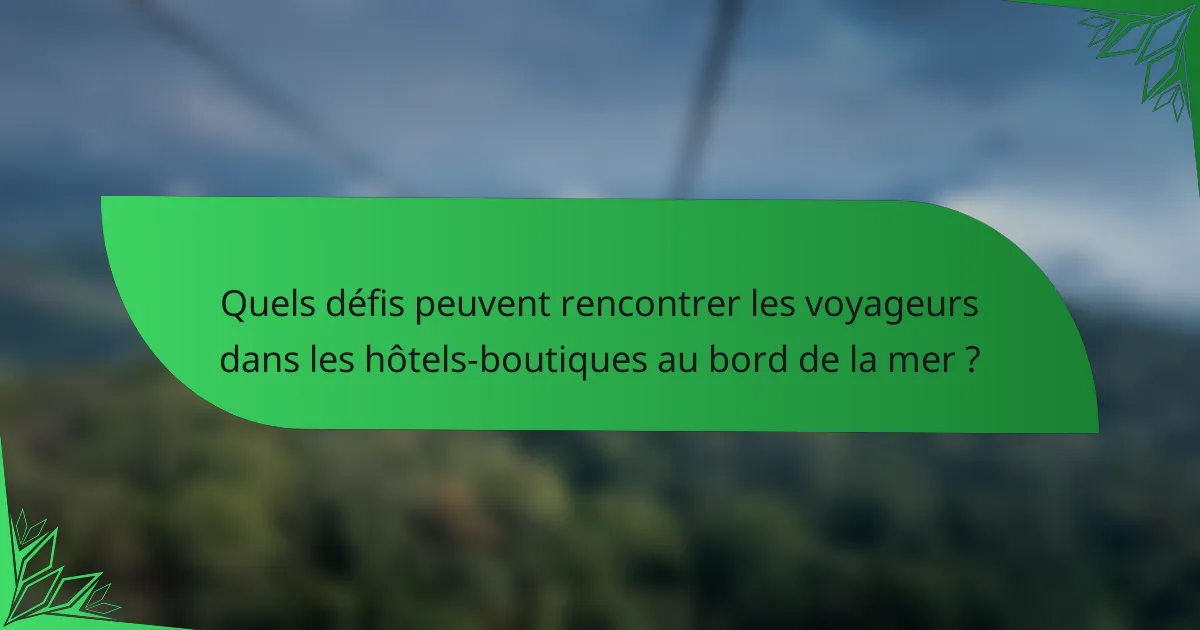 Quels défis peuvent rencontrer les voyageurs dans les hôtels-boutiques au bord de la mer ?