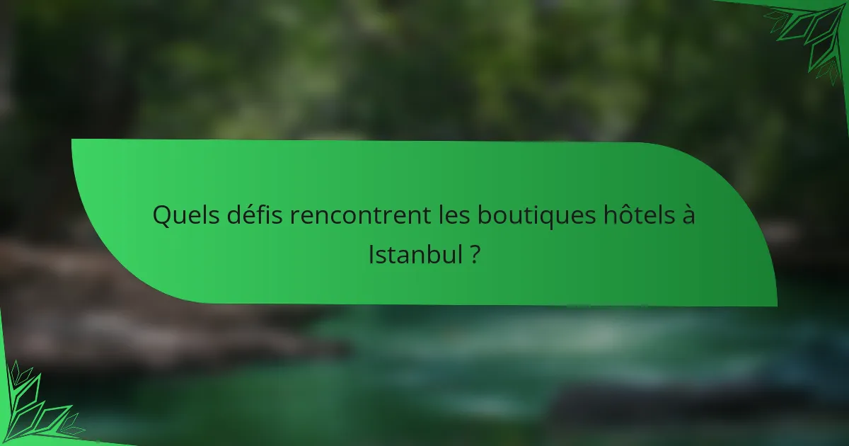 Quels défis rencontrent les boutiques hôtels à Istanbul ?