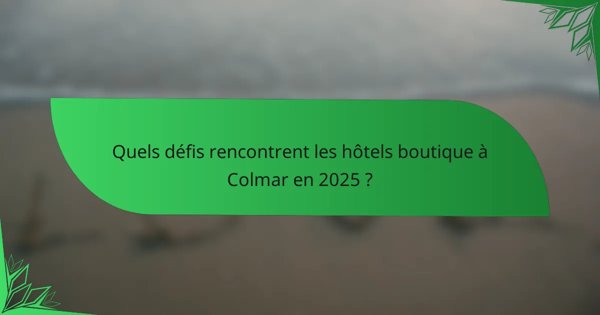 Quels défis rencontrent les hôtels boutique à Colmar en 2025 ?