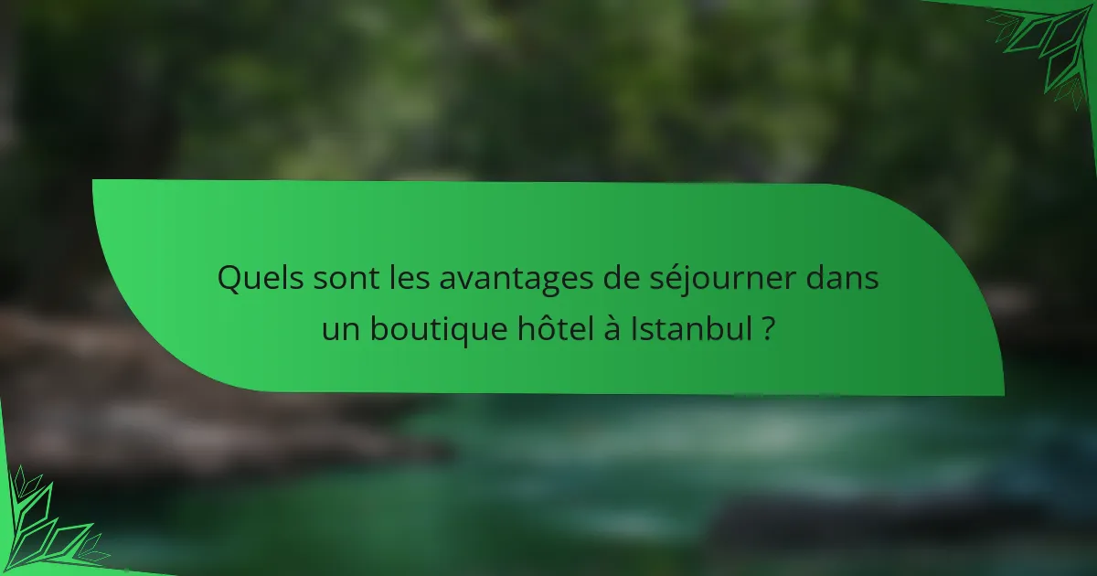 Quels sont les avantages de séjourner dans un boutique hôtel à Istanbul ?
