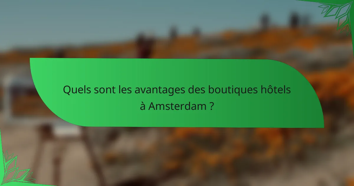 Quels sont les avantages des boutiques hôtels à Amsterdam ?