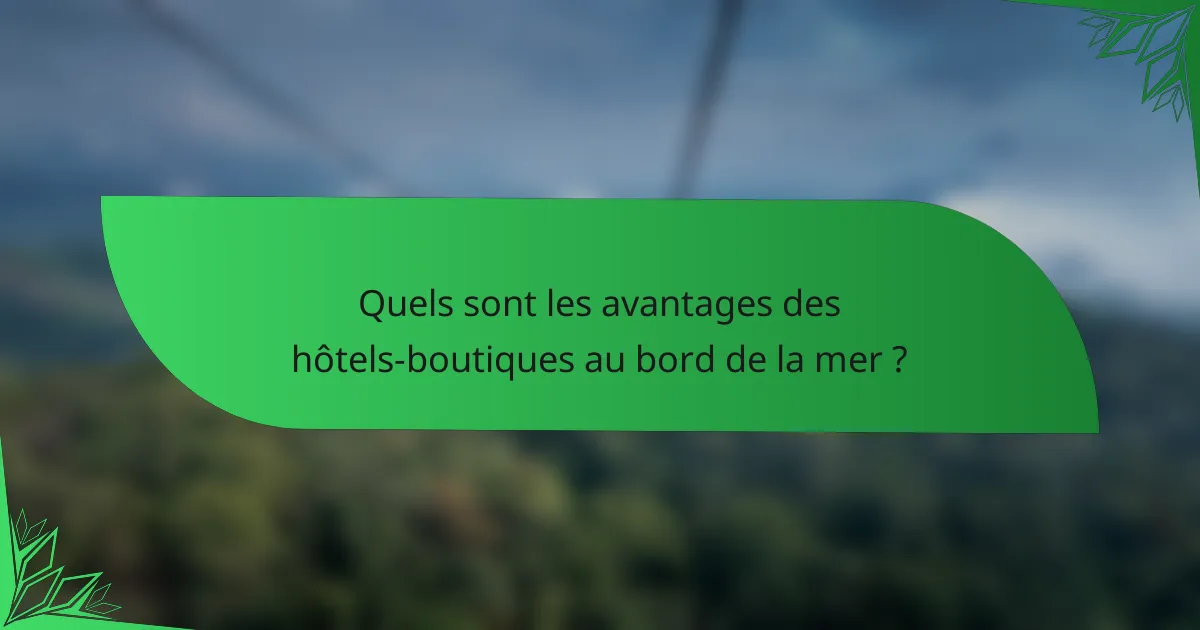 Quels sont les avantages des hôtels-boutiques au bord de la mer ?