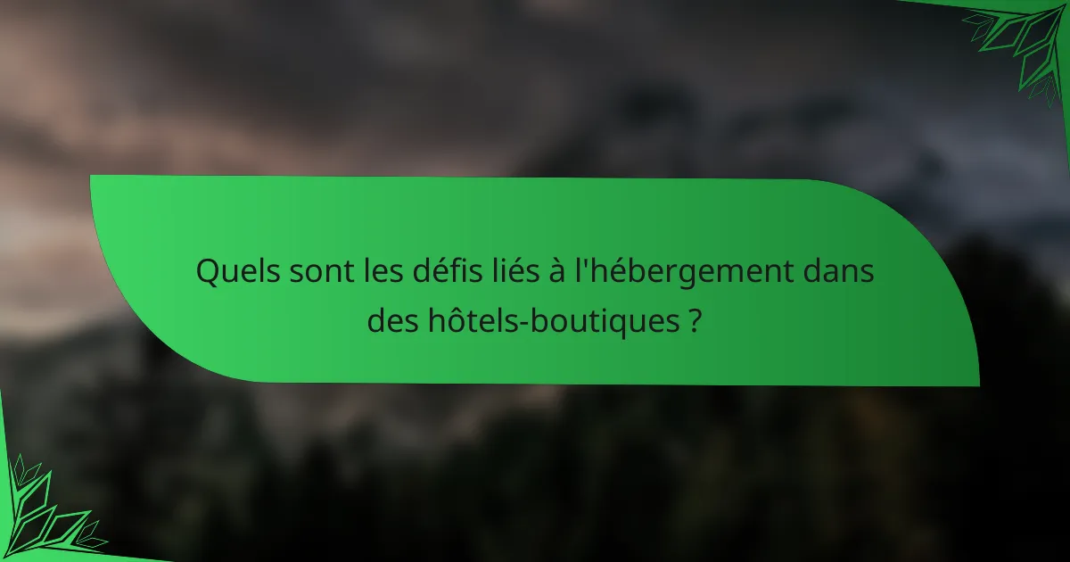 Quels sont les défis liés à l'hébergement dans des hôtels-boutiques ?