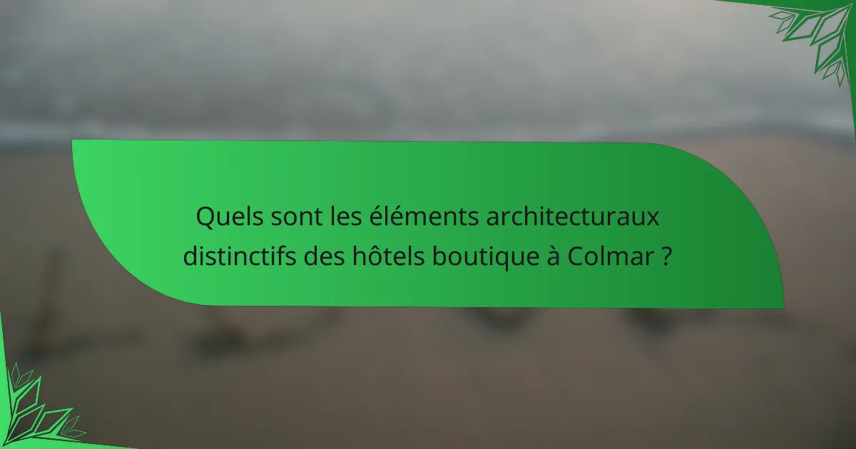 Quels sont les éléments architecturaux distinctifs des hôtels boutique à Colmar ?