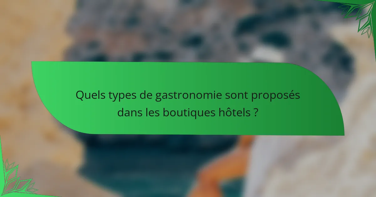 Quels types de gastronomie sont proposés dans les boutiques hôtels ?